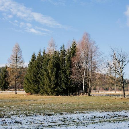 Alicjowka - Domek Marciszow Exteriör bild