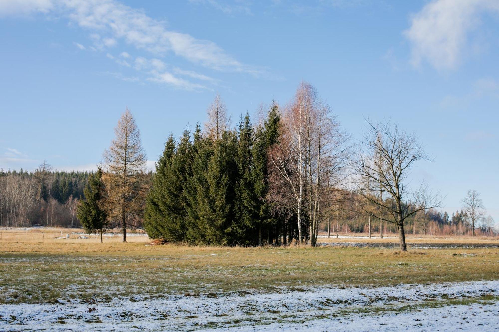 Alicjowka - Domek Marciszow Exteriör bild
